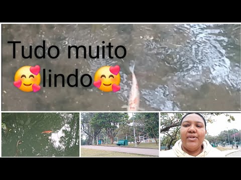 FIZEMOS UM PEQUENO TOUR PELO PARQUE IBIRAPUERA EM SÃO PAULO👏👏👏🥰🥰🥰