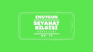 Seyahat Bilgisi Kuralları No:17