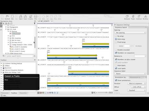 Genomics workbench - Convert to tracks (Chinese)