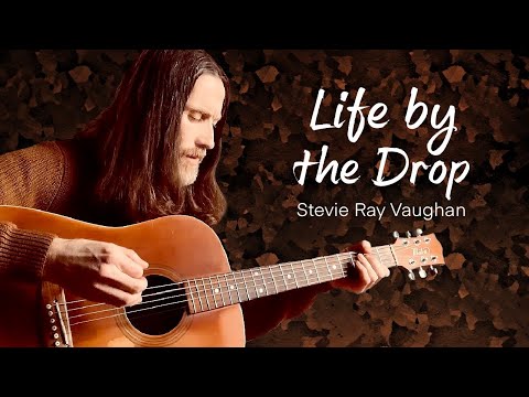 Life by the Drop - Stevie Ray Vaughan (Cover)