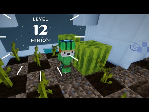 How do you get level 12 minions in Skyblock?  Level 12 Melon Minion!