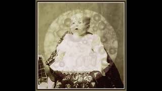 irr. app. (ext.) – The Hairless Communiqué (2021)