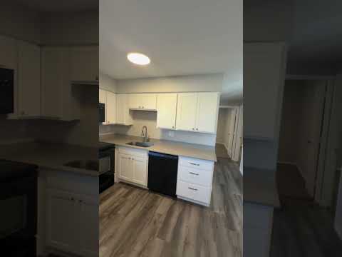 4484-4486 S Newton St. - Video 2 of 2