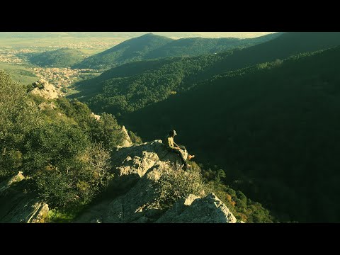 Ryon - Polvere ft. Yang (Official Video)