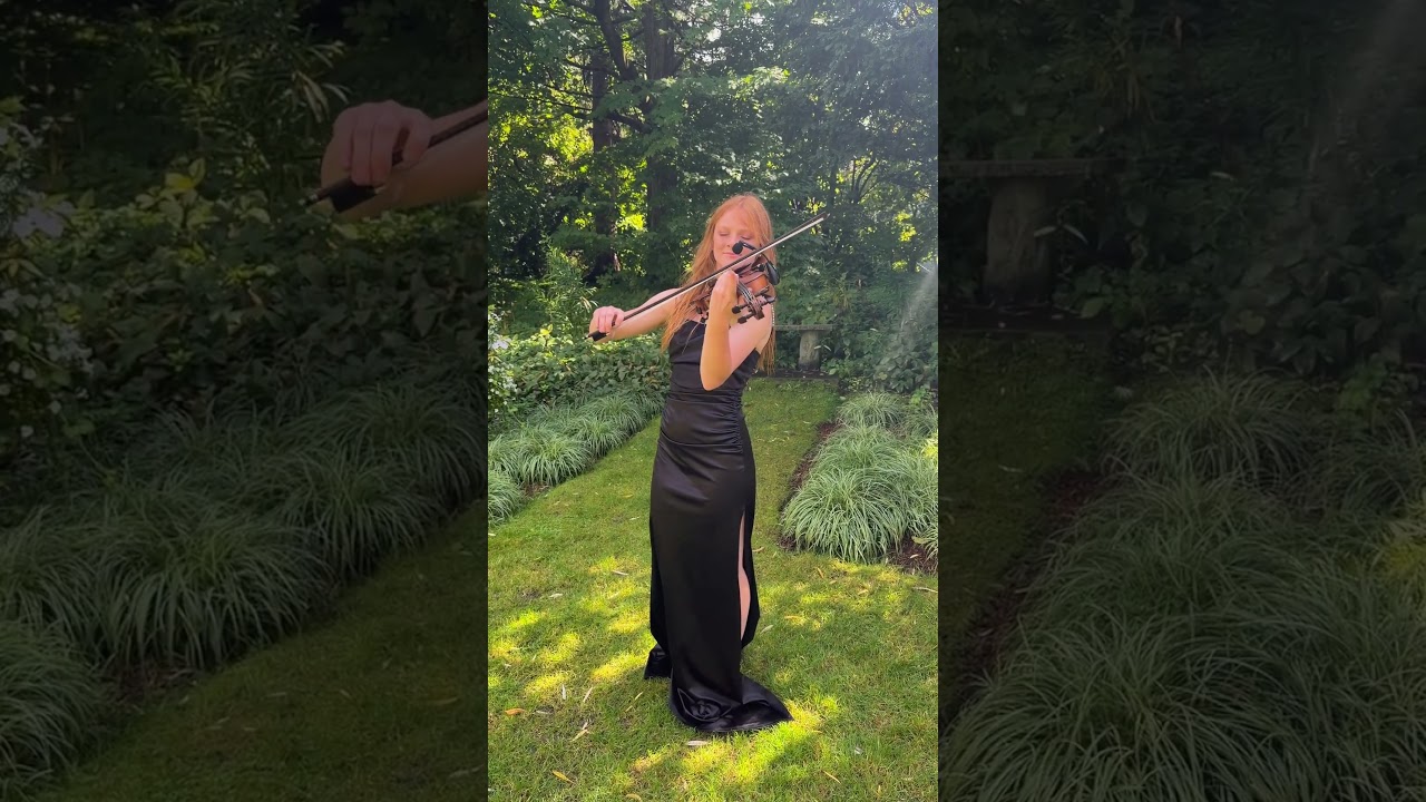 Promotional video thumbnail 3 for Elegant Violin Music