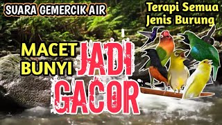 Download lagu JADI GACOR‼️ 1 JAM Terapi Burung Alami Tanpa Doping, Suara Gemericik Air Bikin Burung Rajin Bunyi mp3