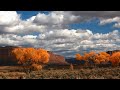Nickel Creek - Out Of The Woods