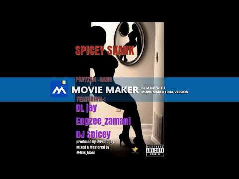 DJ Spicey featuring Patyzangang DL jay & Engzee Zamani