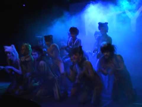 Najlepsze z Romy - Dachowy Song