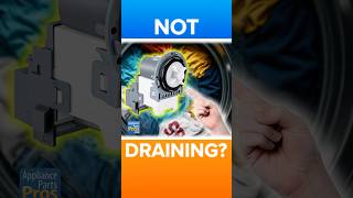 Washer Not Draining? This Hidden Part Could Be the Problem