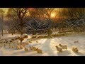 Mike Oldfield Flowers Of The Forest