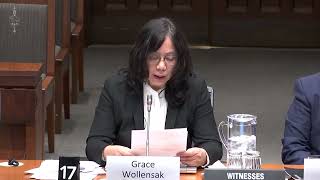 Witnesses Detail CCP Intimidation and Interference on Canadian Soil