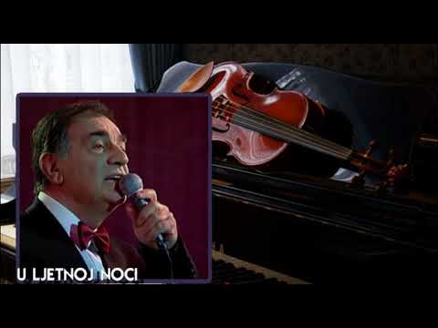 Dragan Stojnic - U ljetnoj noci