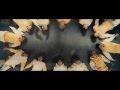 EXO - We are one (12 stones) 