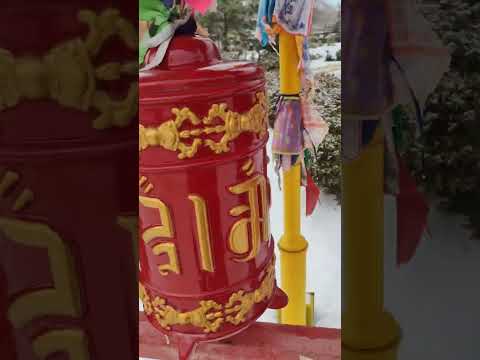 Элиста. Золотые ворота. Статуя Будды. Площадь Ленина со скульптурами.