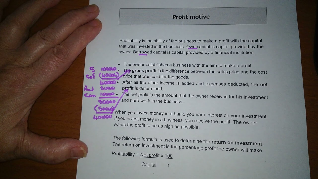8. Profit Motive