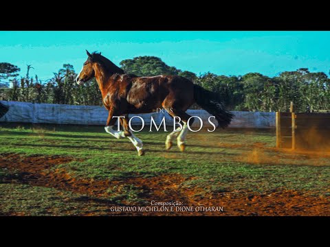 Dois Tombos video