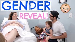 IT'S A.... | GENDER REVEAL BABY #2! | Hayley Paige