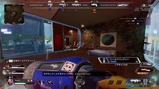 Apex  snipe