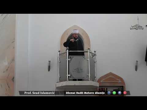 Briga majke  - Prof,. Sead Islamovic