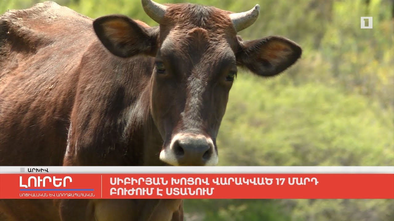 Սիբիրյան խոցով վարակված 17 մարդ բուժում է ստանում