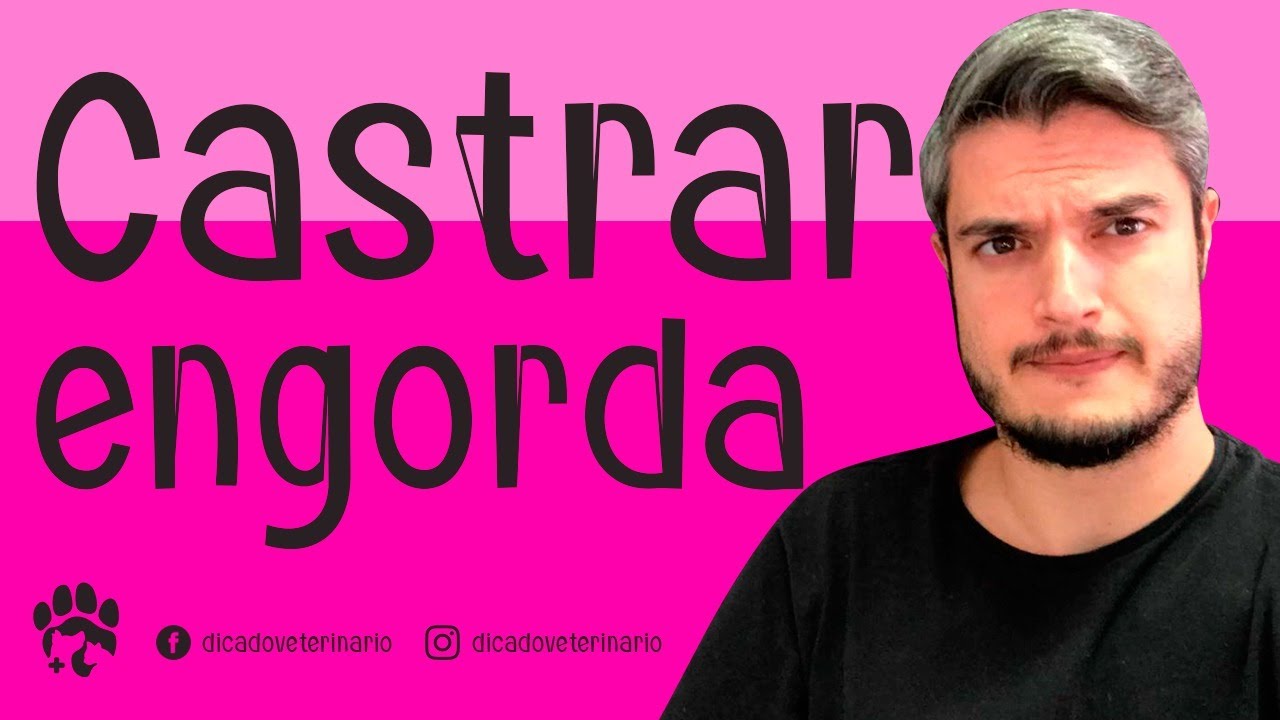 Castração Engorda e Muda o Comportamento do Cão