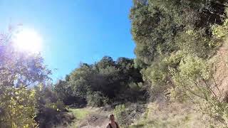 Sierra Nevadas-Hiking Up Cardiac Trail #hikingadventures