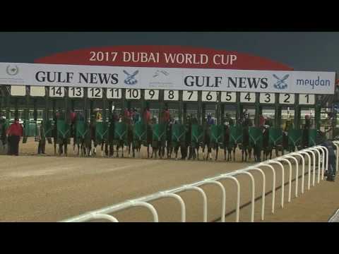 Dubai World Cup 2017: Race 6 - Dubai Golden Shaheen sponsored by Gulf News