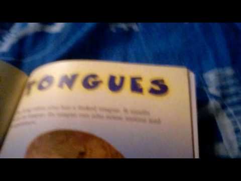 Who would win? King cobra vs komodo dragon book review