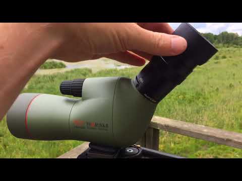 Test av tubkikaren Kowa TSN-553