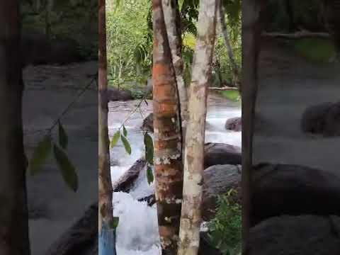 rincão do Amapá em Serra do Navio