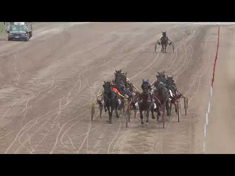 2020.08.08. 08. futam - HÓKÁS DÍJ II. RÉSZ