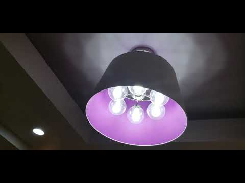 Full Hotel Tour: Homewood Suites By Hilton, Peabody MA