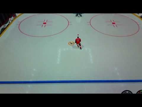 NHL11 Sure Goal