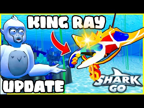 NEW King Manta Ray In SHARK GO!