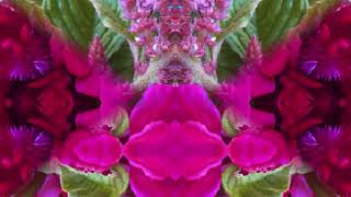 I Fall To Pieces (by Linda Ronstadt live in Sausalito, CA on 11-18-73)