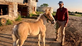 UPDATE ON LIBBY'S MEDICAL ISSUES! #831