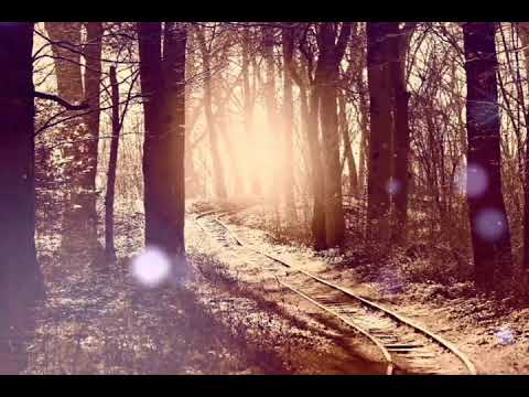 Tell my story - Durban's Finest Vol1