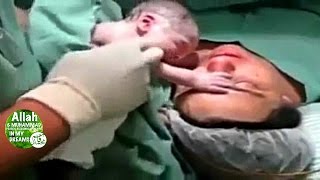 Allah ke Mojzat New 2016 - Allah ki Qudrat