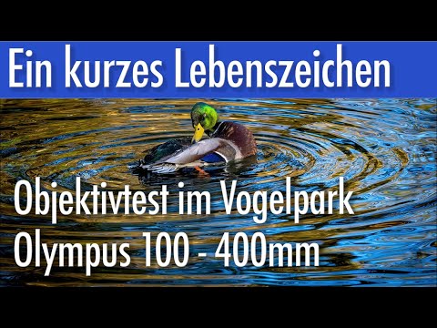 Ein kurzes Lebenszeichen - Objektivtest im Vogelpark - Olympus 100 - 400mm