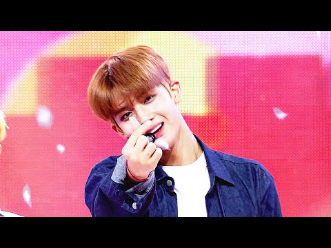 [덕질캡쳐용♥CLEAN ver.] 워너원 - 워너비 (Wanna One - Wanna Be)