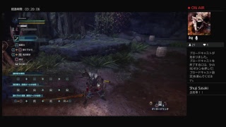 ［MHW］マムタロトをソロで挑戦！