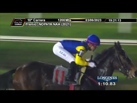 230603 C 10  - LIVING LEGEND (BRZ) - HIPODROMO DE MAROÑAS
