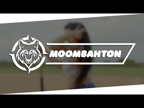 Shelow Shaq - Partela y Botala (LDMX Edit)