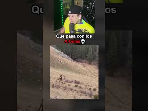 QUE LE PASO A LOS ARBOLES💀