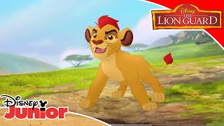 Get Moving With: The Lion Guard | Disney Junior UK