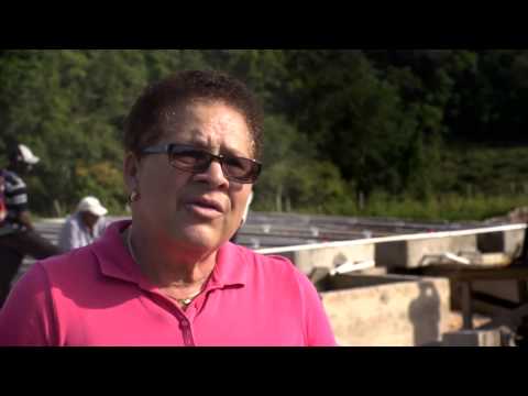 Fund Jamaican Farmers in Climate-Smart Aquaponics