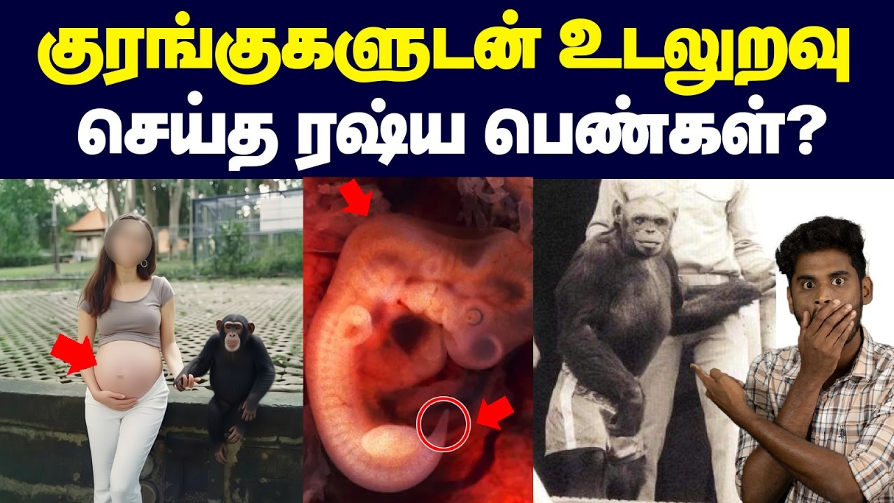🤦🏾‍♂️😨பெண்ணின் உடம்பில் Chimpanzee விந்தணுக்களை செலுத்த