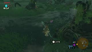 【SWITCH2】ゼルダの伝説　ブレスオブザワイルドを初見プレイ