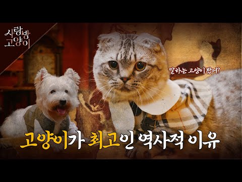 고양이 이야기 한번 들어볼래? ㅣ사랑방 고양이 1부 (SUB)